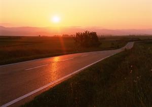 【徹底解説】車検で失敗しないための費用・内容・流れを完全ガイド